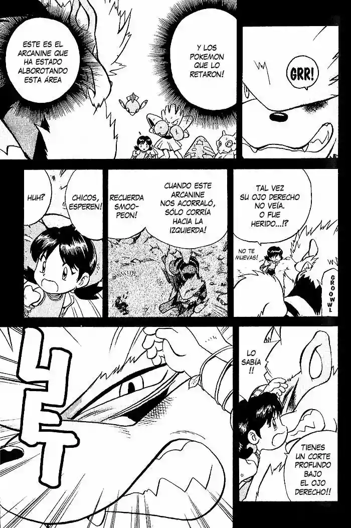 Pokémon Special Capítulo 135 - Page 6