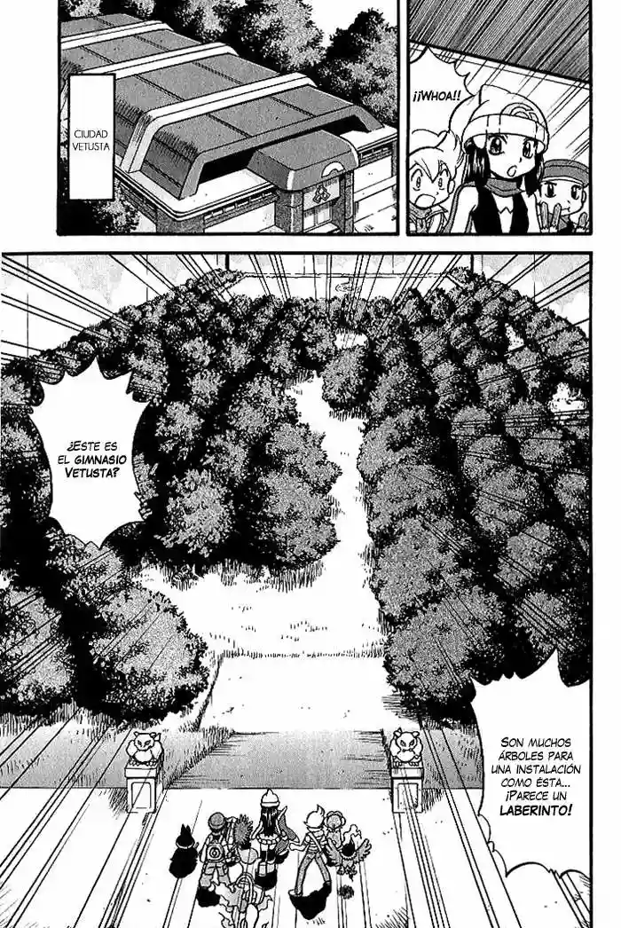 Pokémon Special Capítulo 347 - Page 10
